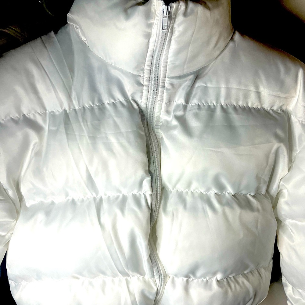 White puffer